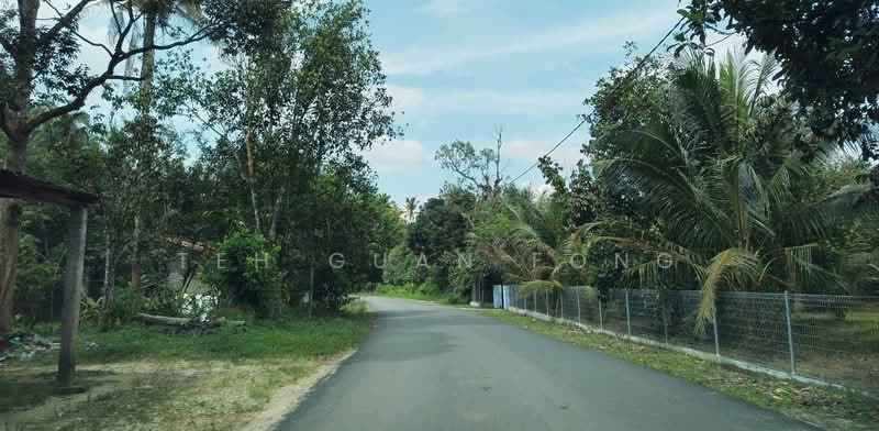 Tanah Pertanian untuk Dijual di Kampung Batu Puteh (Karangan) - Teh Guan Fong - PropertyGuru.com.my
