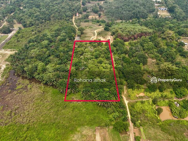 Untuk Dijual - Tanah Pertanian Bukit Cerakah Shah Alam 3 Ekar