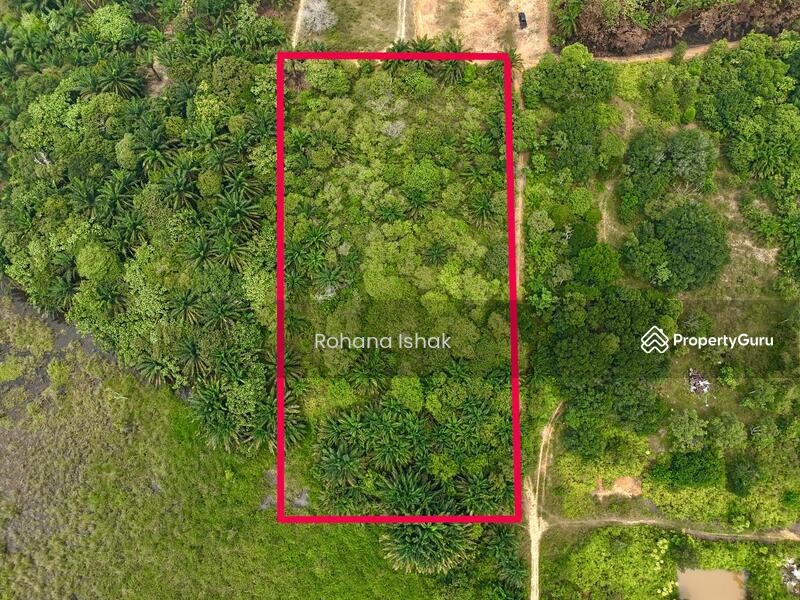 Untuk Dijual - Tanah Pertanian Bukit Cerakah Shah Alam 3 Ekar