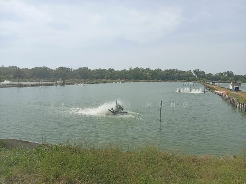 Agricultural Land for Sale in Sungai Udang (Nibong Tebal) - Yee Choi Hong - PropertyGuru.com.my