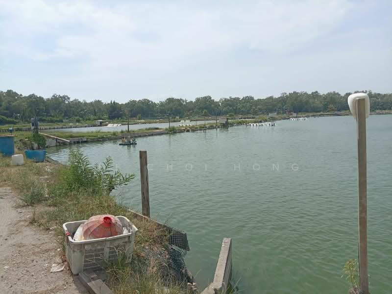 Agricultural Land for Sale in Sungai Udang (Nibong Tebal) - Yee Choi Hong - PropertyGuru.com.my