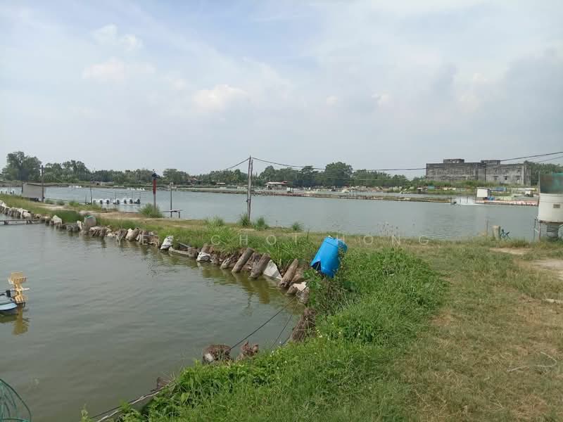Agricultural Land for Sale in Sungai Udang (Nibong Tebal) - Yee Choi Hong - PropertyGuru.com.my