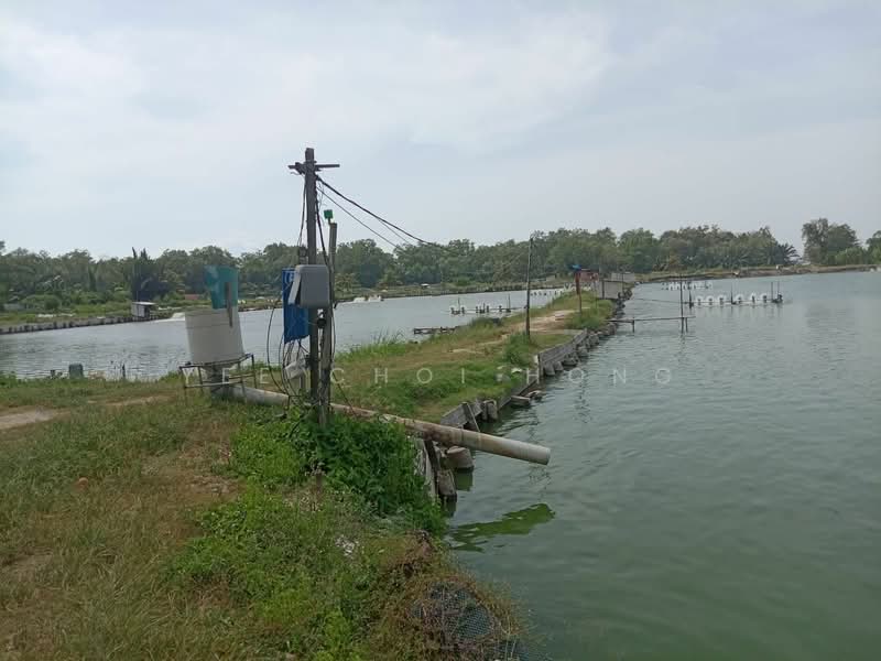 Agricultural Land for Sale in Sungai Udang (Nibong Tebal) - Yee Choi Hong - PropertyGuru.com.my