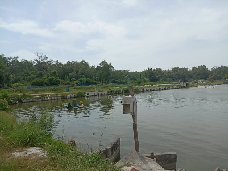 Agricultural Land for Sale in Sungai Udang (Nibong Tebal) - Yee Choi Hong - PropertyGuru.com.my