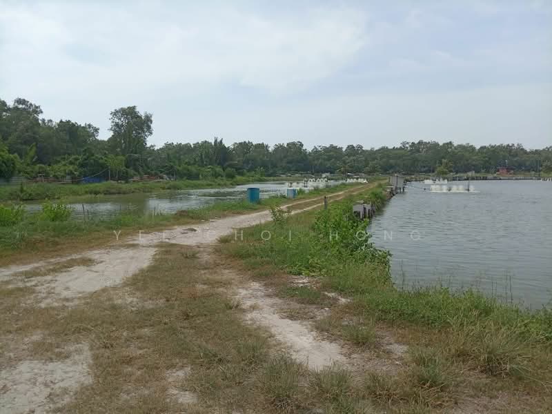 Agricultural Land for Sale in Sungai Udang (Nibong Tebal) - Yee Choi Hong - PropertyGuru.com.my