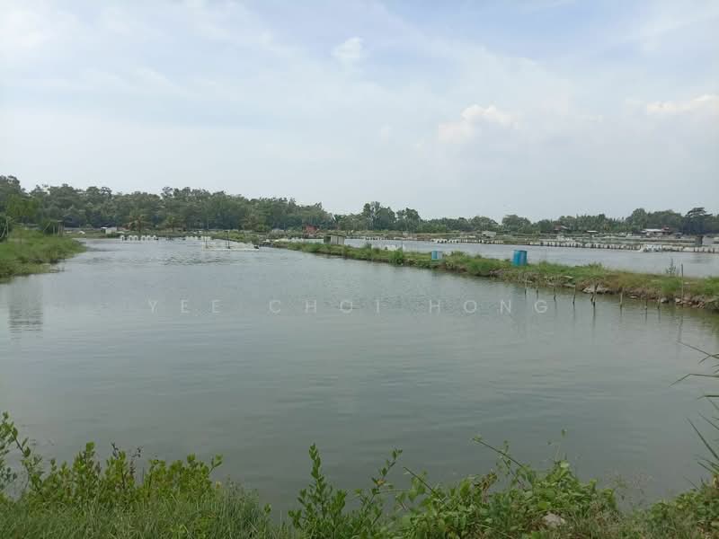 Agricultural Land for Sale in Sungai Udang (Nibong Tebal) - Yee Choi Hong - PropertyGuru.com.my
