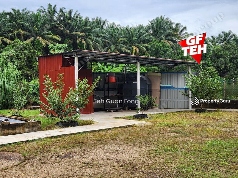 For Sale - 1.4acres Beautiful Leisure Agricultural Land Karangan Kedah 24.61psf b