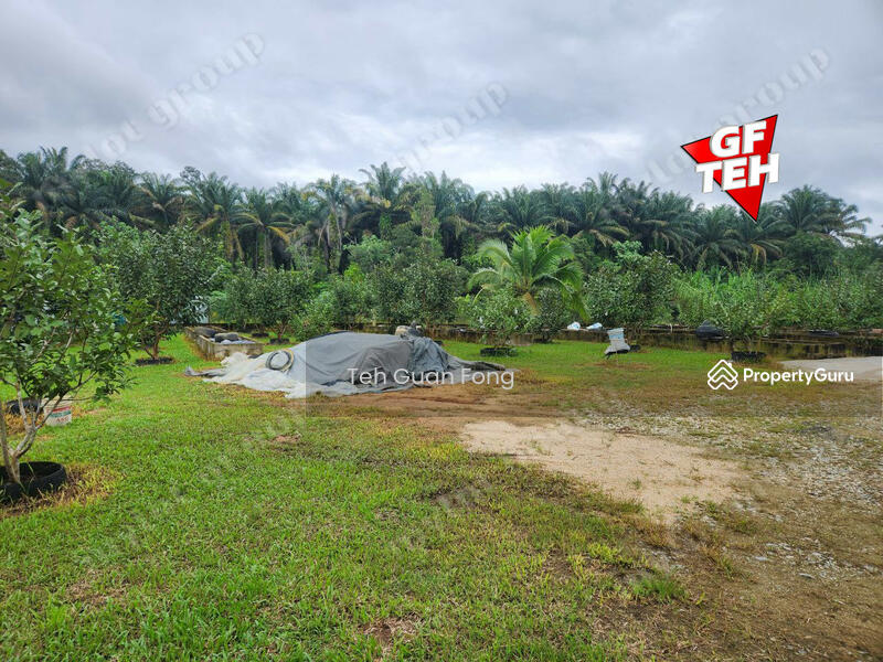 For Sale - 1.4acres Beautiful Leisure Agricultural Land Karangan Kedah 24.61psf b