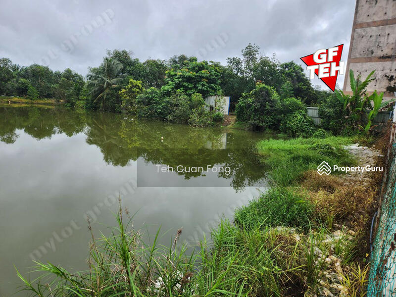 For Sale - 1.4acres Beautiful Leisure Agricultural Land Karangan Kedah 24.61psf b