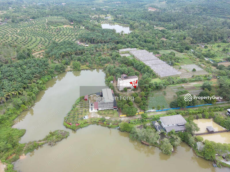 For Sale - 1.4acres Beautiful Leisure Agricultural Land Karangan Kedah 24.61psf b