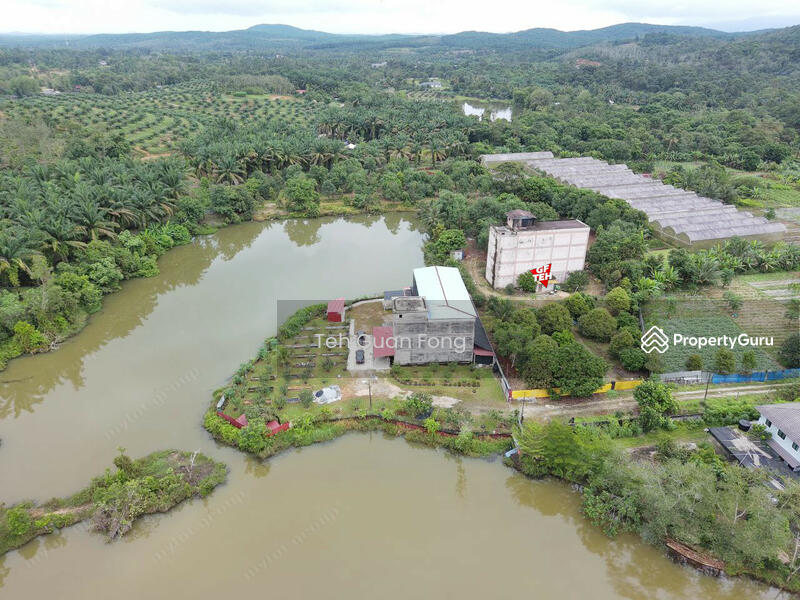 For Sale - 1.4acres Beautiful Leisure Agricultural Land Karangan Kedah 24.61psf b