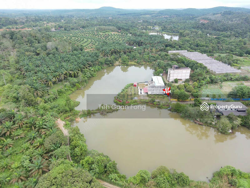For Sale - 1.4acres Beautiful Leisure Agricultural Land Karangan Kedah 24.61psf b