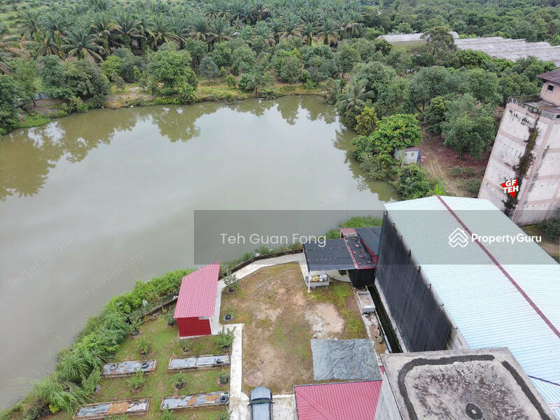 For Sale - 1.4acres Beautiful Leisure Agricultural Land Karangan Kedah 24.61psf b