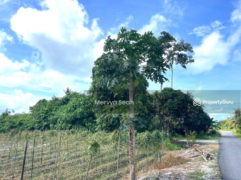 For Sale - KAMPUNG PERLIS