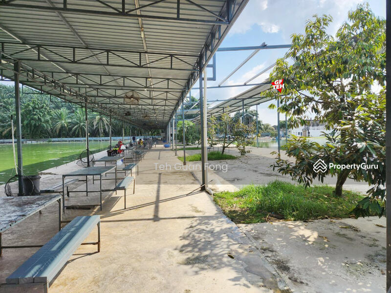 Untuk Dijual - 6.356 acres Large Freshwater Fish Fishing Spot| Taiping | Perak b
