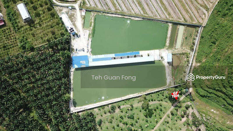 Untuk Dijual - 6.356 acres Large Freshwater Fish Fishing Spot| Taiping | Perak b