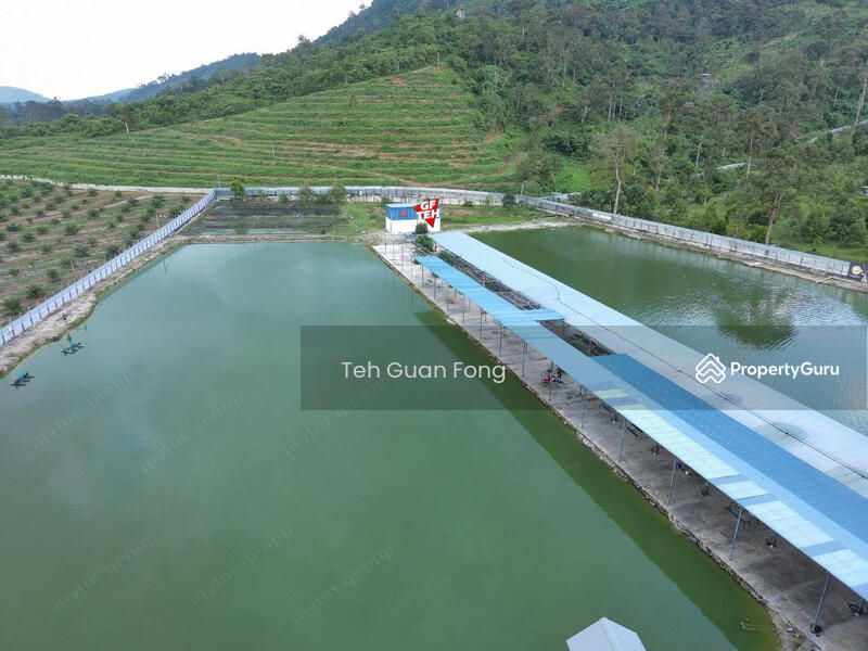 Untuk Dijual - 6.356 acres Large Freshwater Fish Fishing Spot| Taiping | Perak b