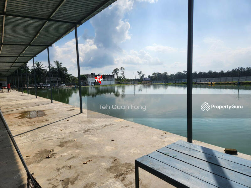 Untuk Dijual - 6.356 acres Large Freshwater Fish Fishing Spot| Taiping | Perak b