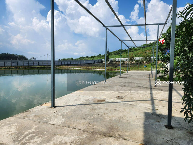 Untuk Dijual - 6.356 acres Large Freshwater Fish Fishing Spot| Taiping | Perak b