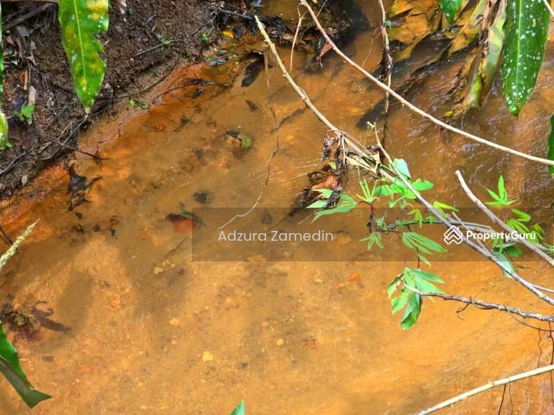 For Sale - Kuala Pilah, Negeri Sembilan