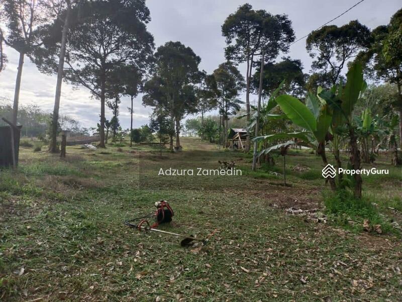Untuk Dijual - Segamat, Johor