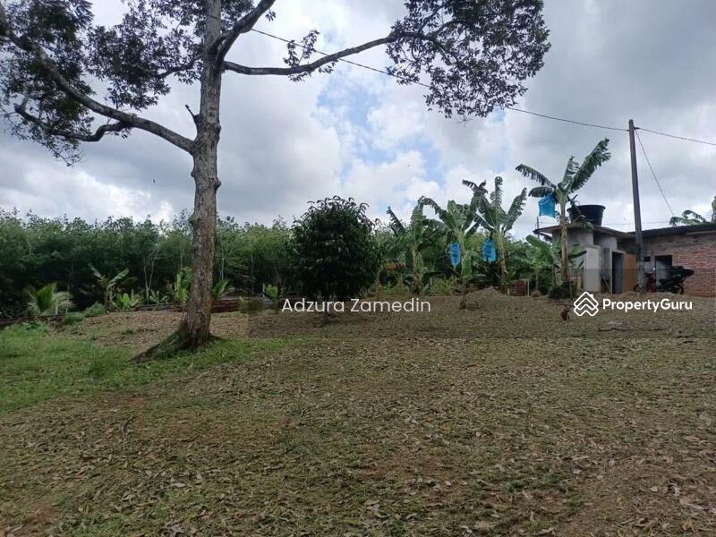 Untuk Dijual - Segamat, Johor