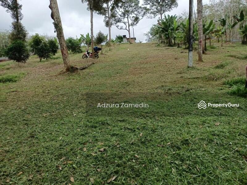 Untuk Dijual - Segamat, Johor