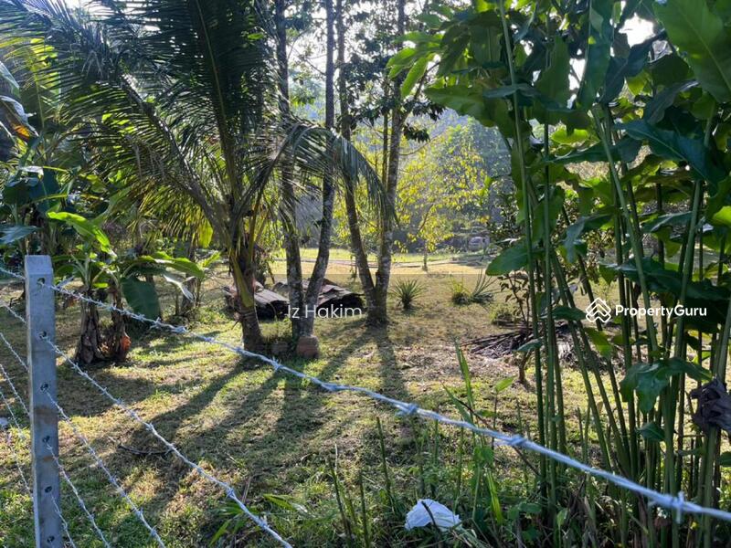 For Sale - Tanah dan Campsite Batang Kali Selangor