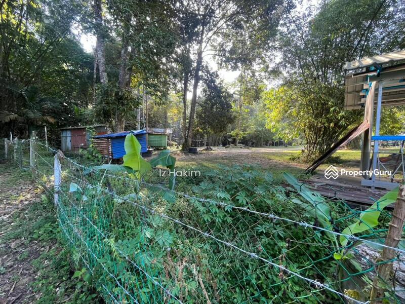 For Sale - Tanah dan Campsite Batang Kali Selangor