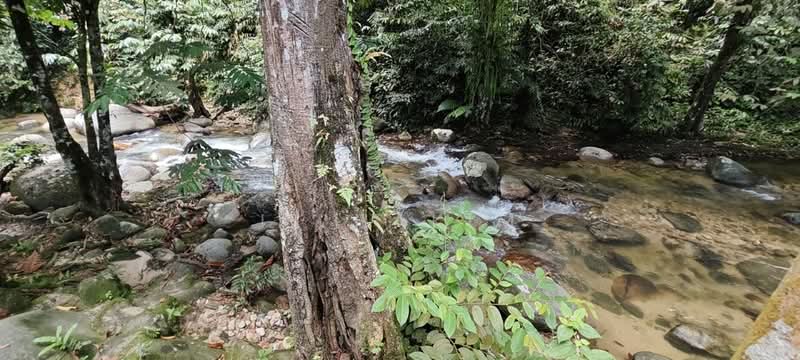 Agricultural Land for Sale in Kampung Ulu Kalong (Ulu Yam) - Iz Hakim - Exterior - PropertyGuru.com.my