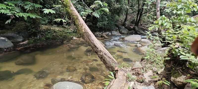 Agricultural Land for Sale in Kampung Ulu Kalong (Ulu Yam) - Iz Hakim - Exterior - PropertyGuru.com.my