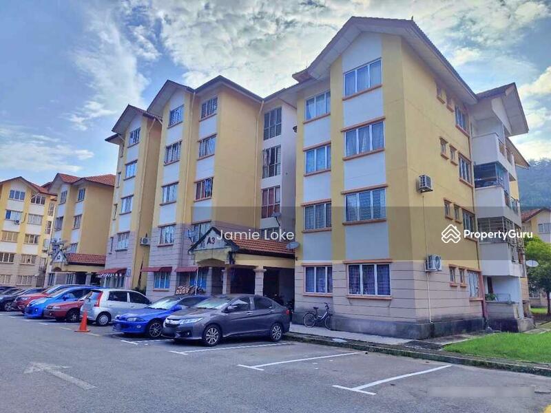 For Sale - Damiana