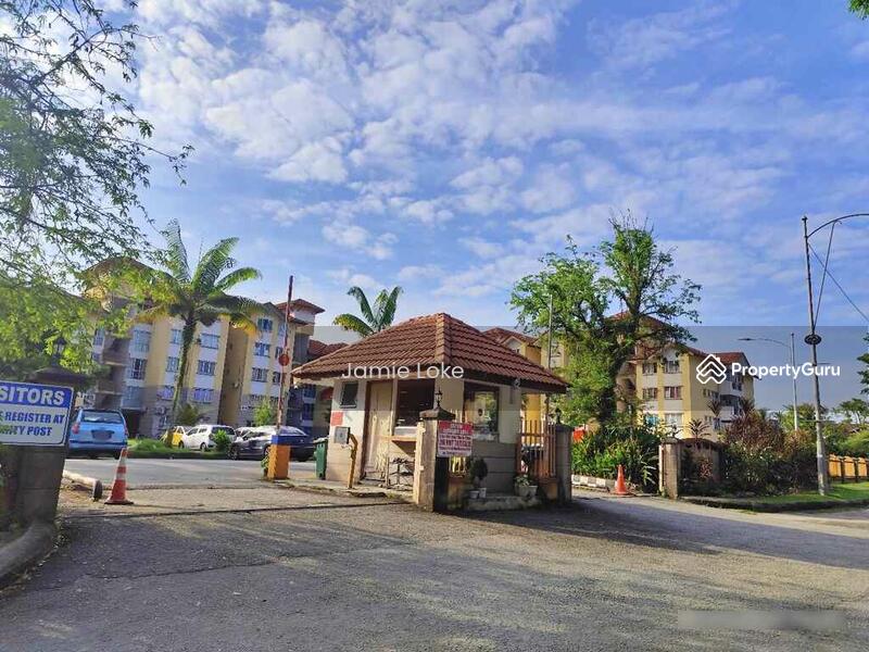 For Sale - Damiana