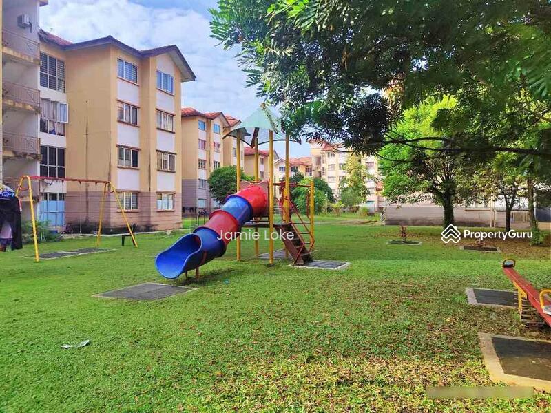 For Sale - Damiana