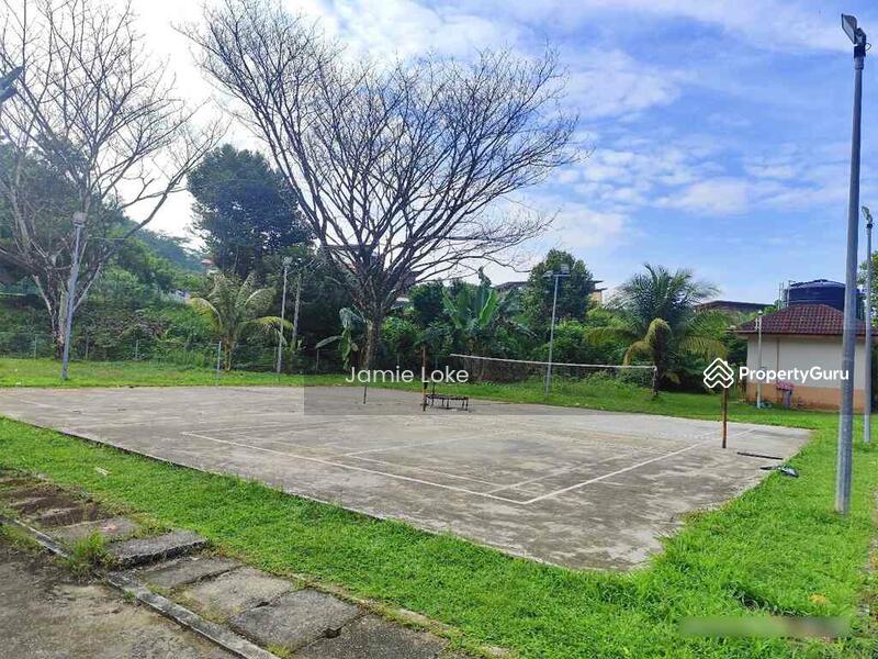 For Sale - Damiana