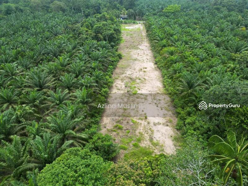 For Sale - Residential Land at Parit Lapis Sayang