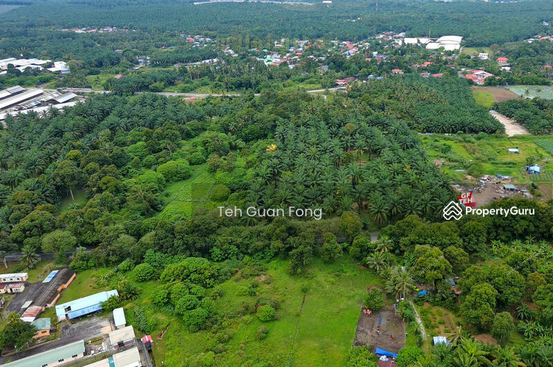 Agricultural Land for Sale in Bukit Teh (Bukit Mertajam) - Teh Guan Fong - PropertyGuru.com.my