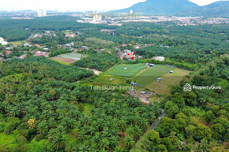 Agricultural Land for Sale in Bukit Teh (Bukit Mertajam) - Teh Guan Fong - PropertyGuru.com.my
