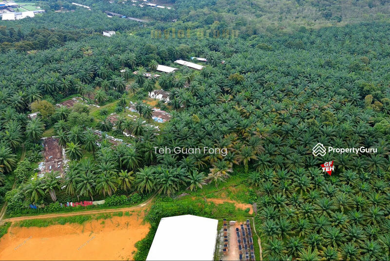 Agricultural Land for Sale in Bukit Teh (Bukit Mertajam) - Teh Guan Fong - PropertyGuru.com.my