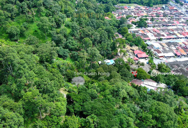 Untuk Dijual - 6.8 acres First Grade | Durian Farm | Paya Terubung | Air Itam | Penang 40psf