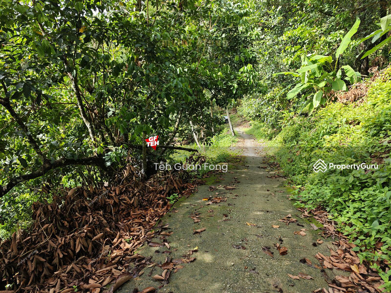 Untuk Dijual - 6.8 acres First Grade | Durian Farm | Paya Terubung | Air Itam | Penang 40psf