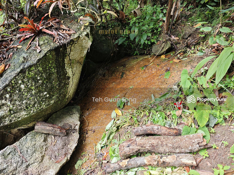 Untuk Dijual - 6.8 acres First Grade | Durian Farm | Paya Terubung | Air Itam | Penang 40psf