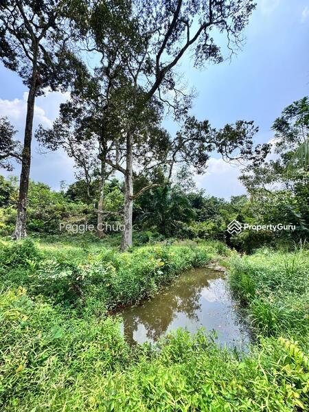 Untuk Dijual - Taman Pulai Saujana 6 Acres Land
