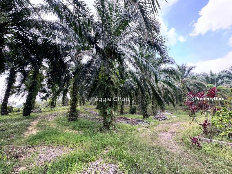 Untuk Dijual - Taman Pulai Saujana 6 Acres Land