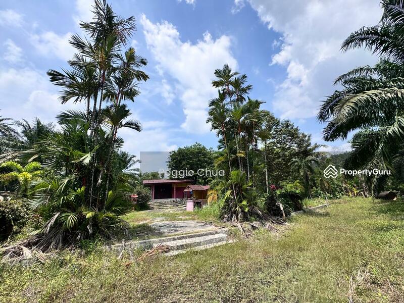 Untuk Dijual - Taman Pulai Saujana 6 Acres Land