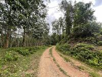 For Sale - Agricultural Land at Kuala Sawah