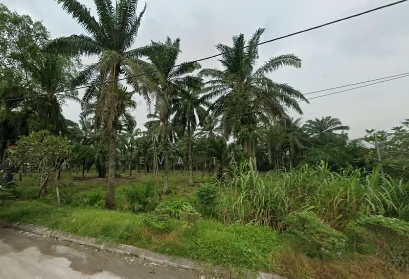Tanah Perindustrian untuk Dijual di Pekan Nenas (Jeram Batu) - Eva Tan - Exterior - PropertyGuru.com.my