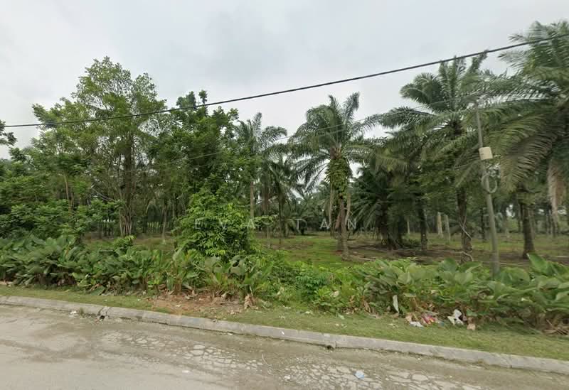 Tanah Perindustrian untuk Dijual di Pekan Nenas (Jeram Batu) - Eva Tan - Exterior - PropertyGuru.com.my