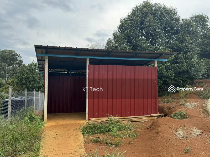 For Sale - Prime Musang King Durian Farm for Sale – High ROI! (RM1.7M | 4.25 Acres)