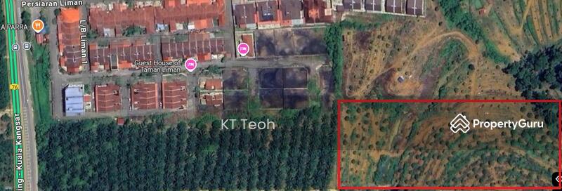 For Sale - Prime Musang King Durian Farm for Sale – High ROI! (RM1.7M | 4.25 Acres)